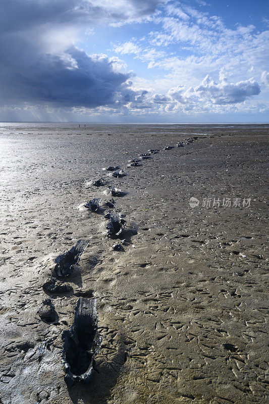 在荷兰北部带有潮汐沙滩的瓦登海自然保护区“de Wadden”，在一片空旷的景观中，人们在泥泞中行走